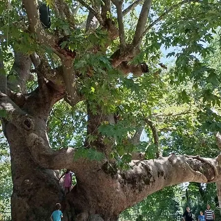 בית נופש Beautiful Pelion With Spectacular Views Anilio Pelion