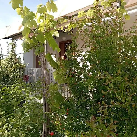 Beautiful Pelion With Spectacular Views Feriehus *