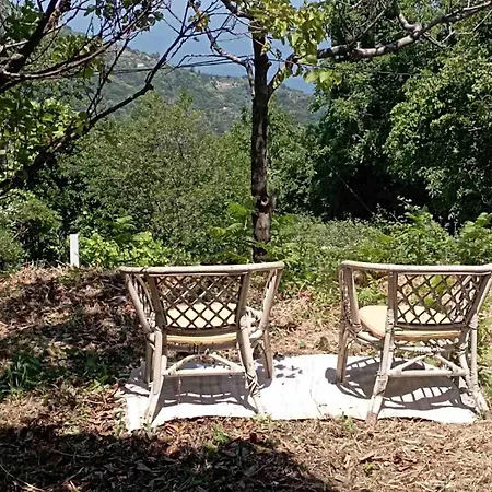 Beautiful Pelion With Spectacular Views Case de vacanță *